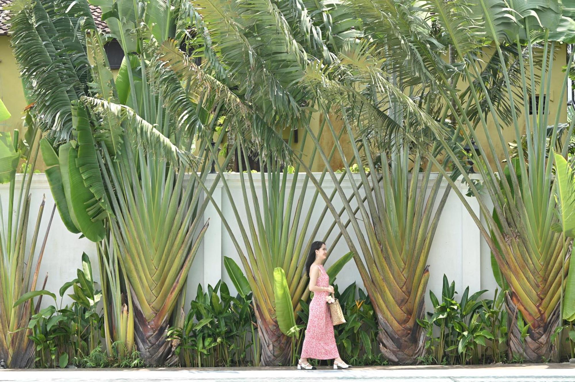 Shining Riverside Hoi An Boutique & Spa Eksteriør billede